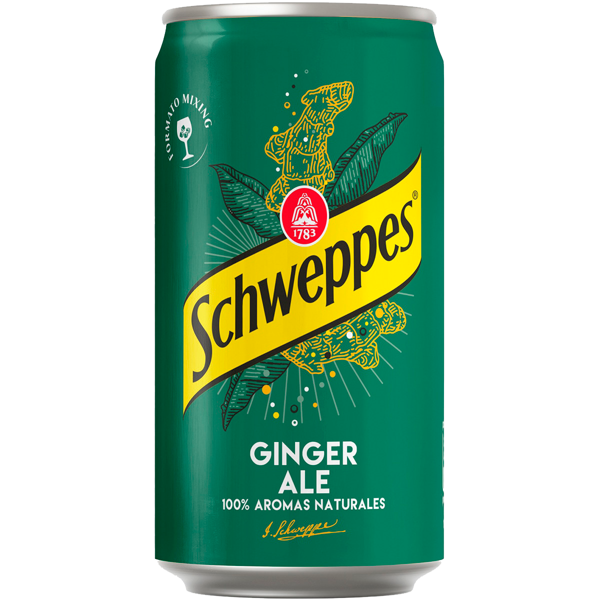 Schweppes Ginger Ale 25cl.